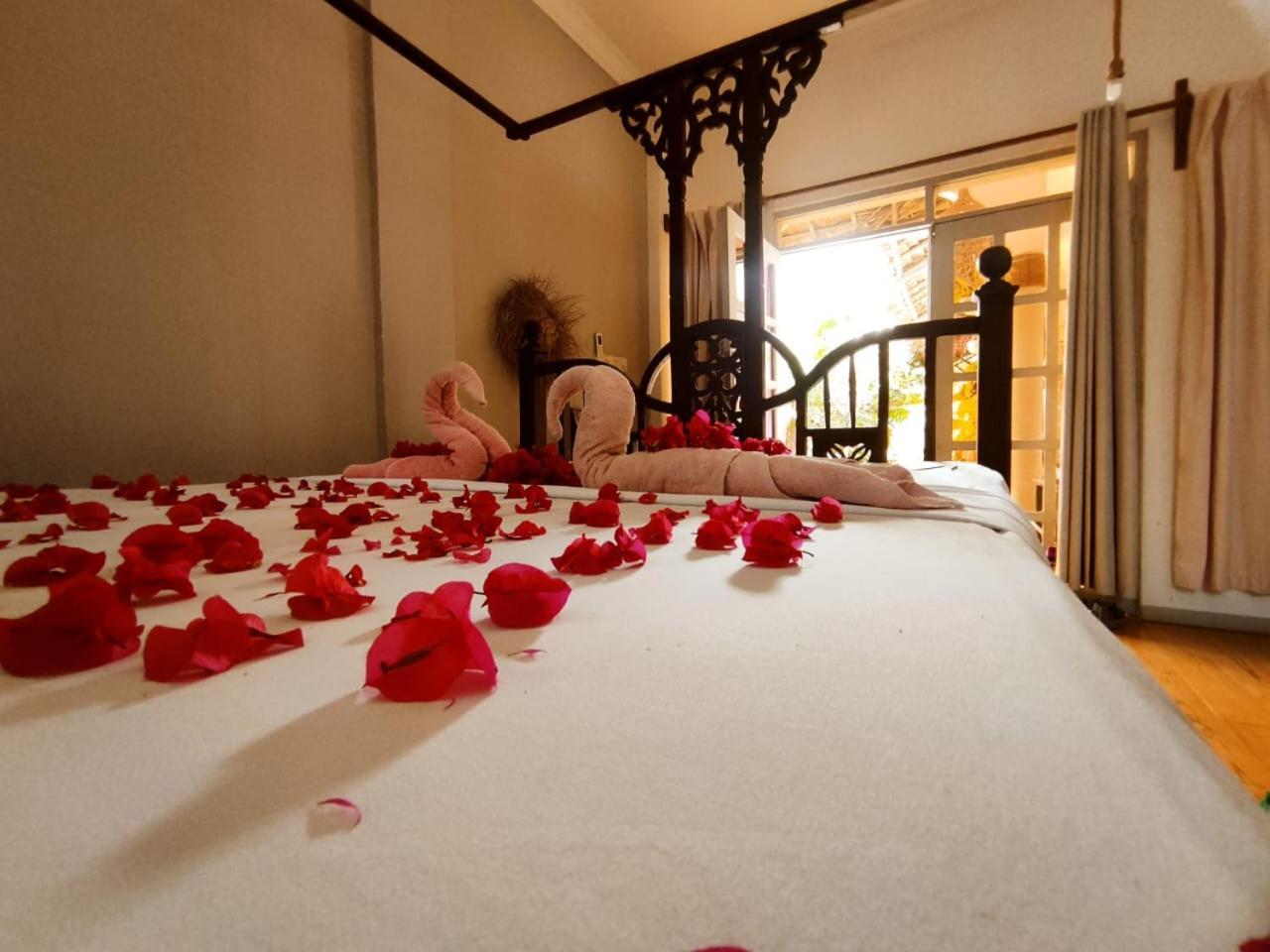 Nungwi Roses Villa Ngoại thất bức ảnh