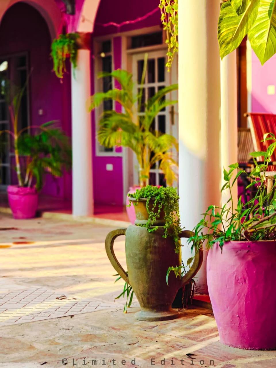 Nungwi Roses Villa Ngoại thất bức ảnh