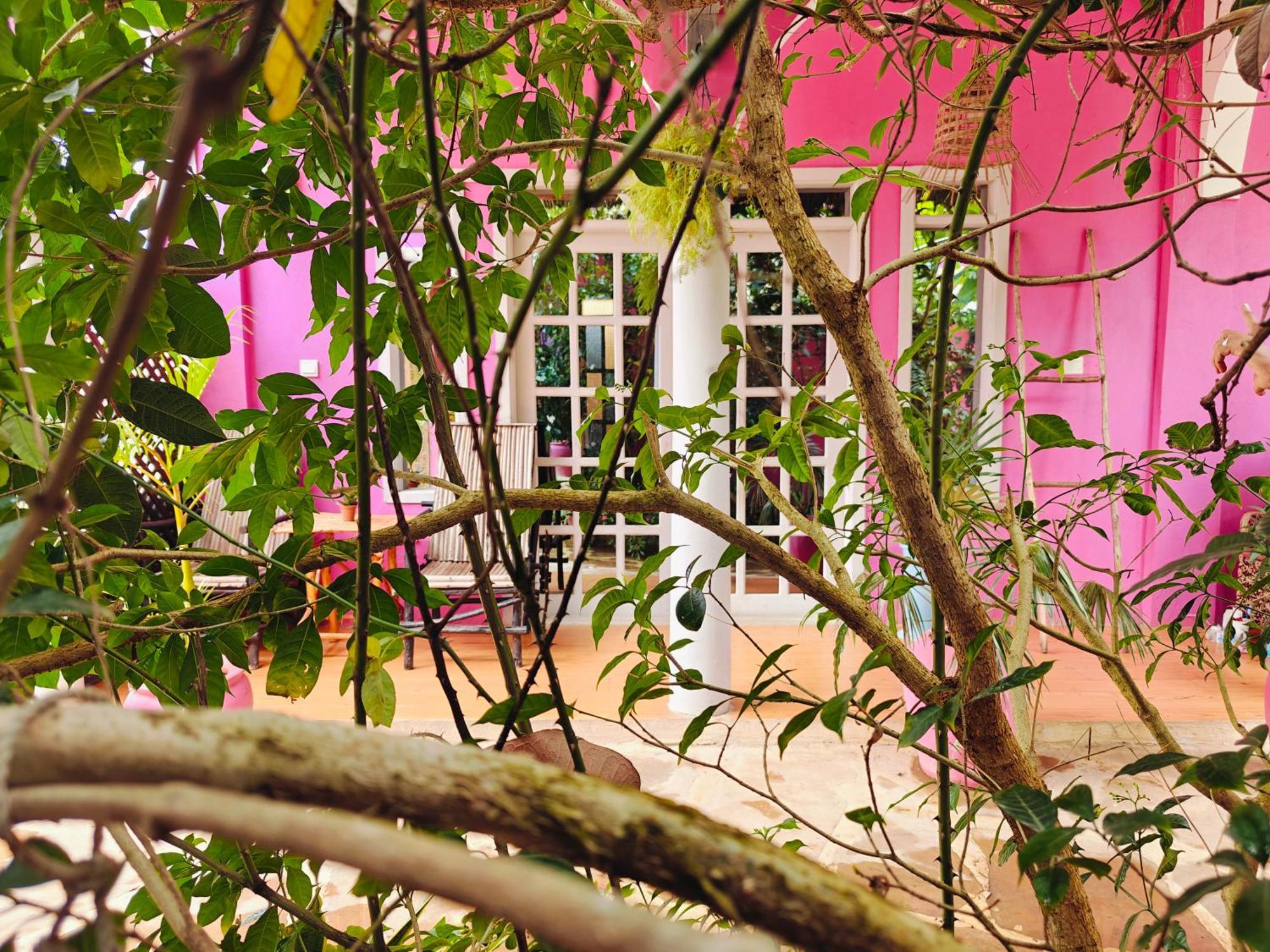 Nungwi Roses Villa Ngoại thất bức ảnh